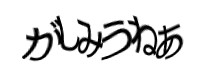 Authentication image